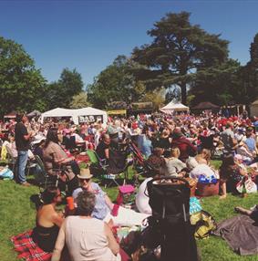 Gathering of people sitting on grass at a festival
