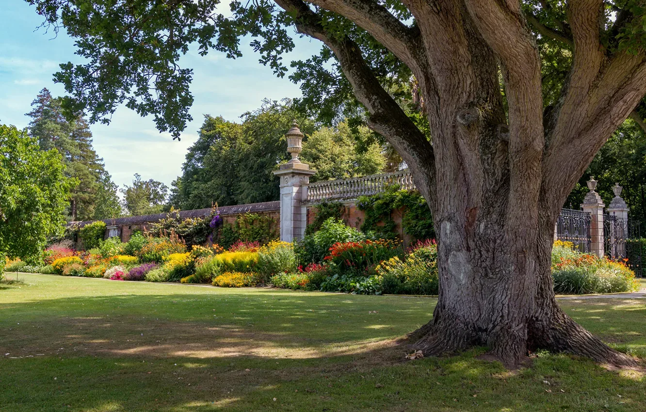 Public garden with rose covered arch way